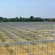 Greenhouse construction