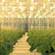 Cucumber production under artificial lights