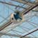 Air recirculation fan in the greenhouse.